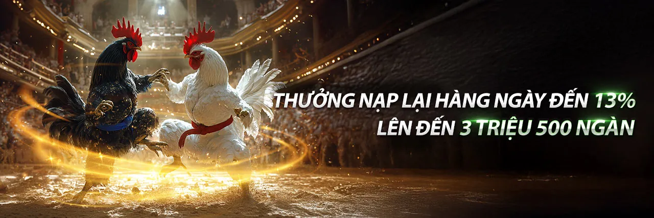 k88cc Khuyến Mãi 2026: Đỉnh Cao Đá Gà Trực Tuyến & Ưu Đãi Hấp Dẫn!